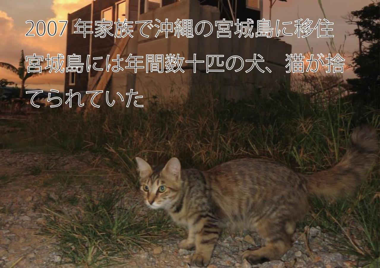 Okinawa Freedom Βίλα Nakijin Εξωτερικό φωτογραφία